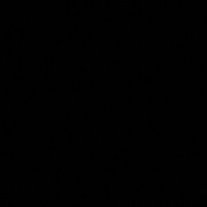 Meet your Posher, Justine